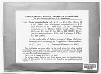 Poria sanguinolenta image